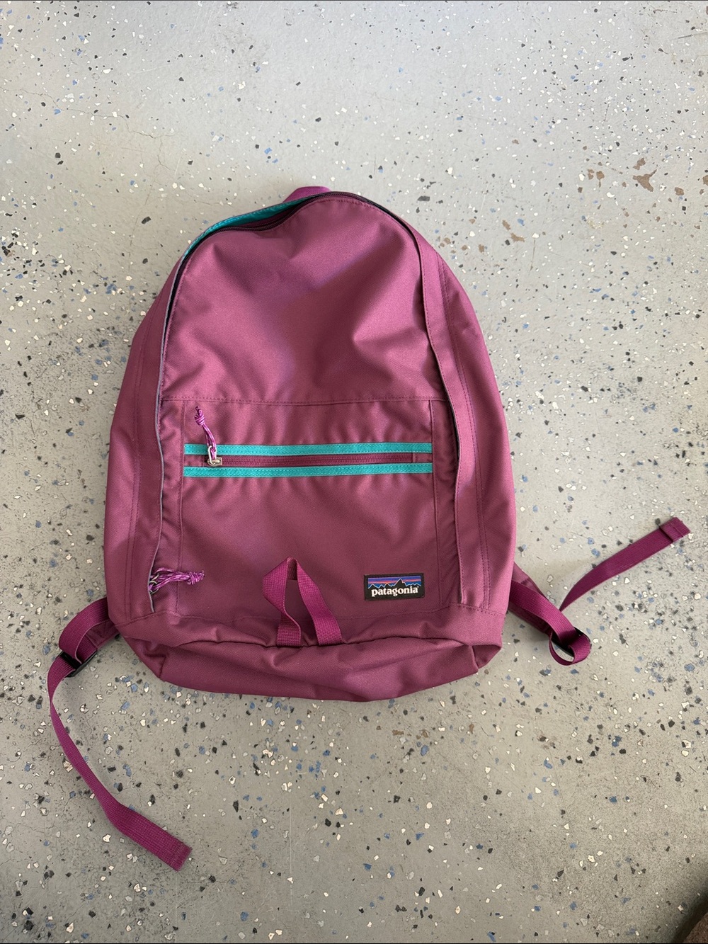Patagonia Plum Backpack